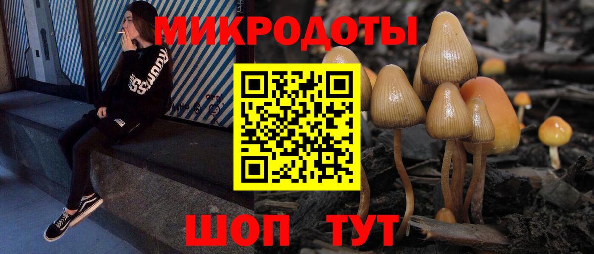 продажа наркотиков  Псилоцибиновые грибы Psilocybine cubensis  Вход с VPN  Галлюциногенные грибы мухоморы  Лесосибирск 