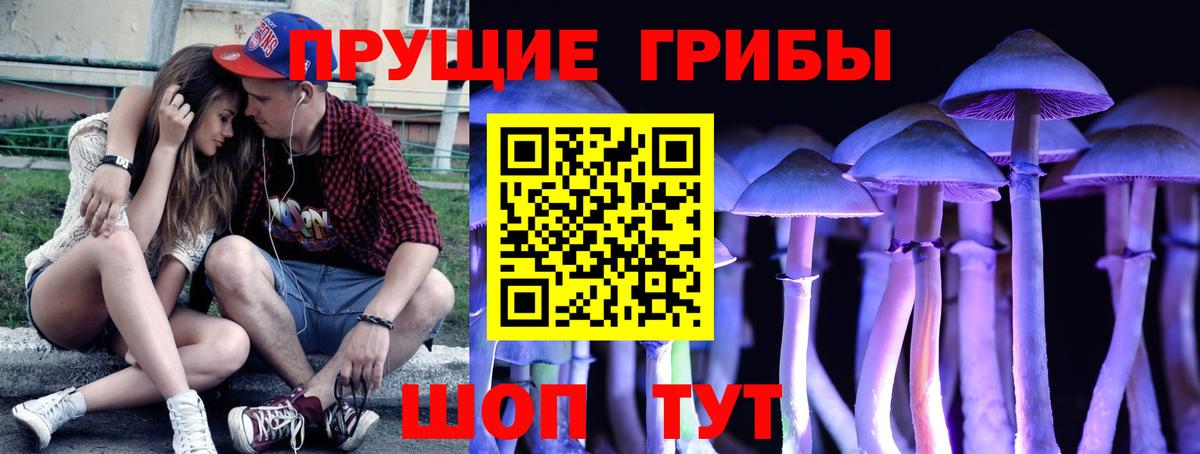 Псилоцибиновые грибы ЛСД Лесосибирск